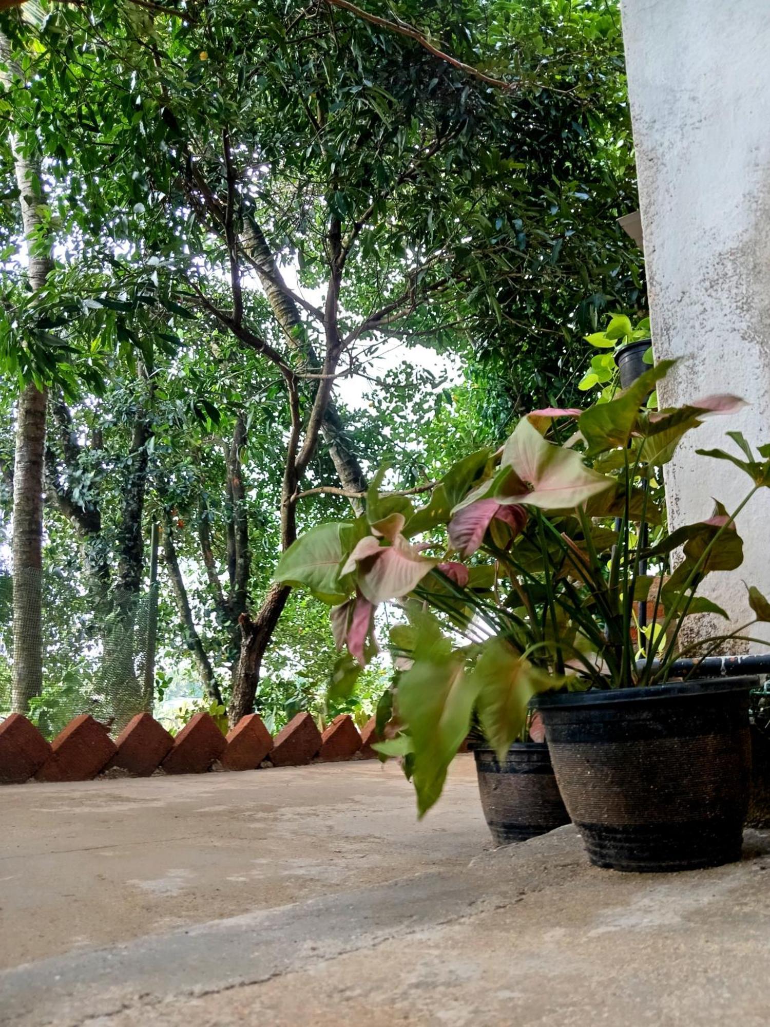 Fly Infinity - Home Stay Kandy Esterno foto