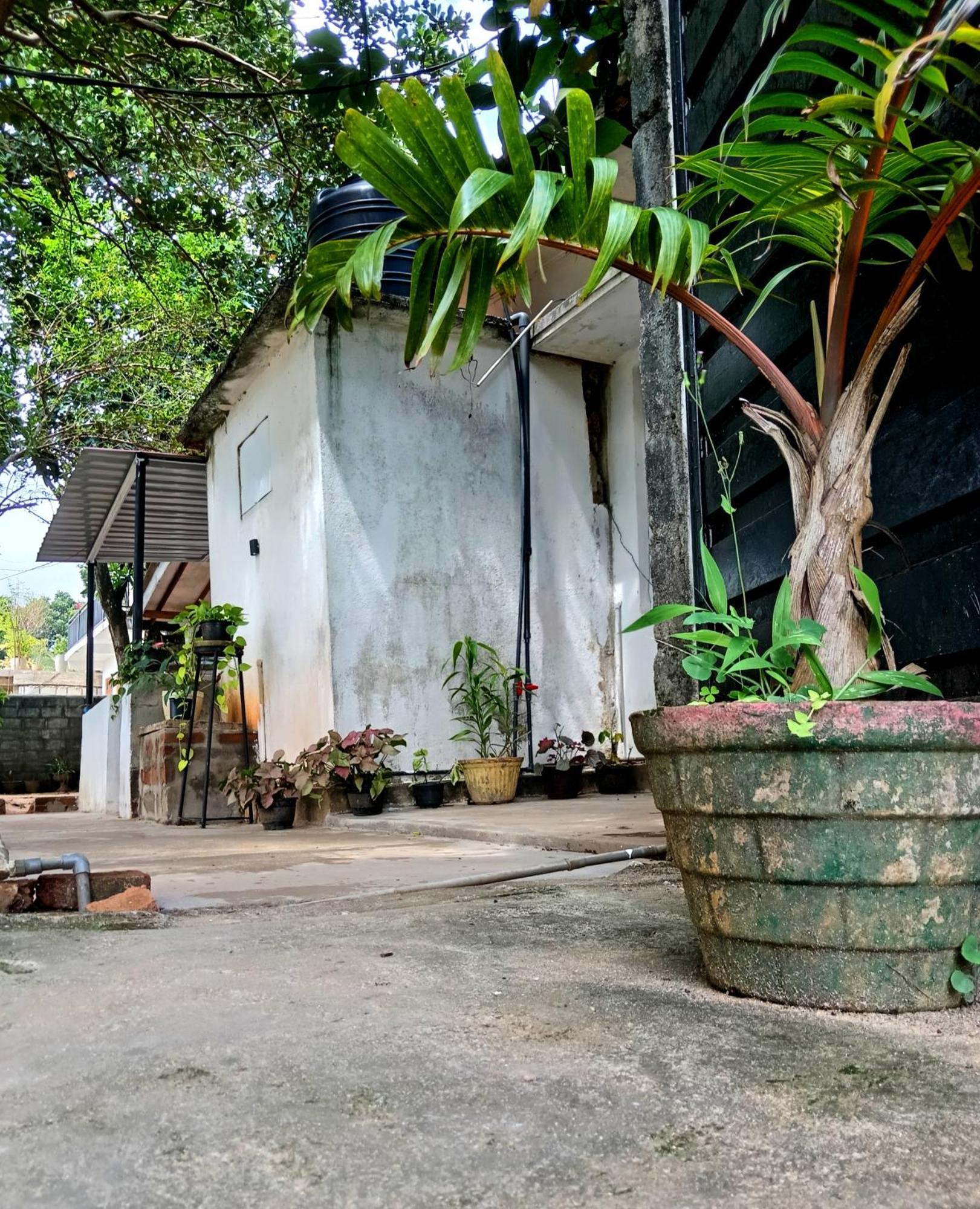 Fly Infinity - Home Stay Kandy Esterno foto