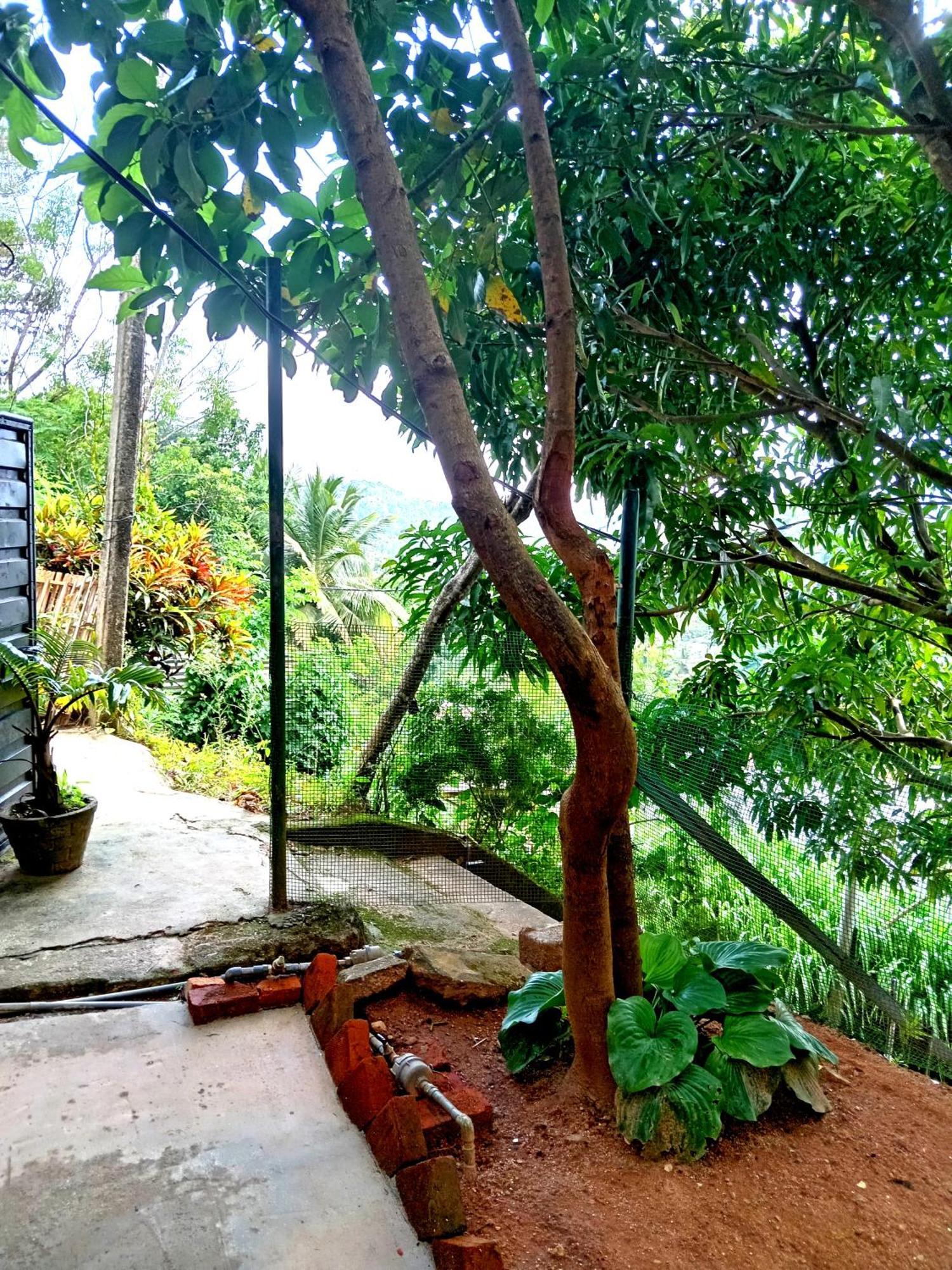 Fly Infinity - Home Stay Kandy Esterno foto