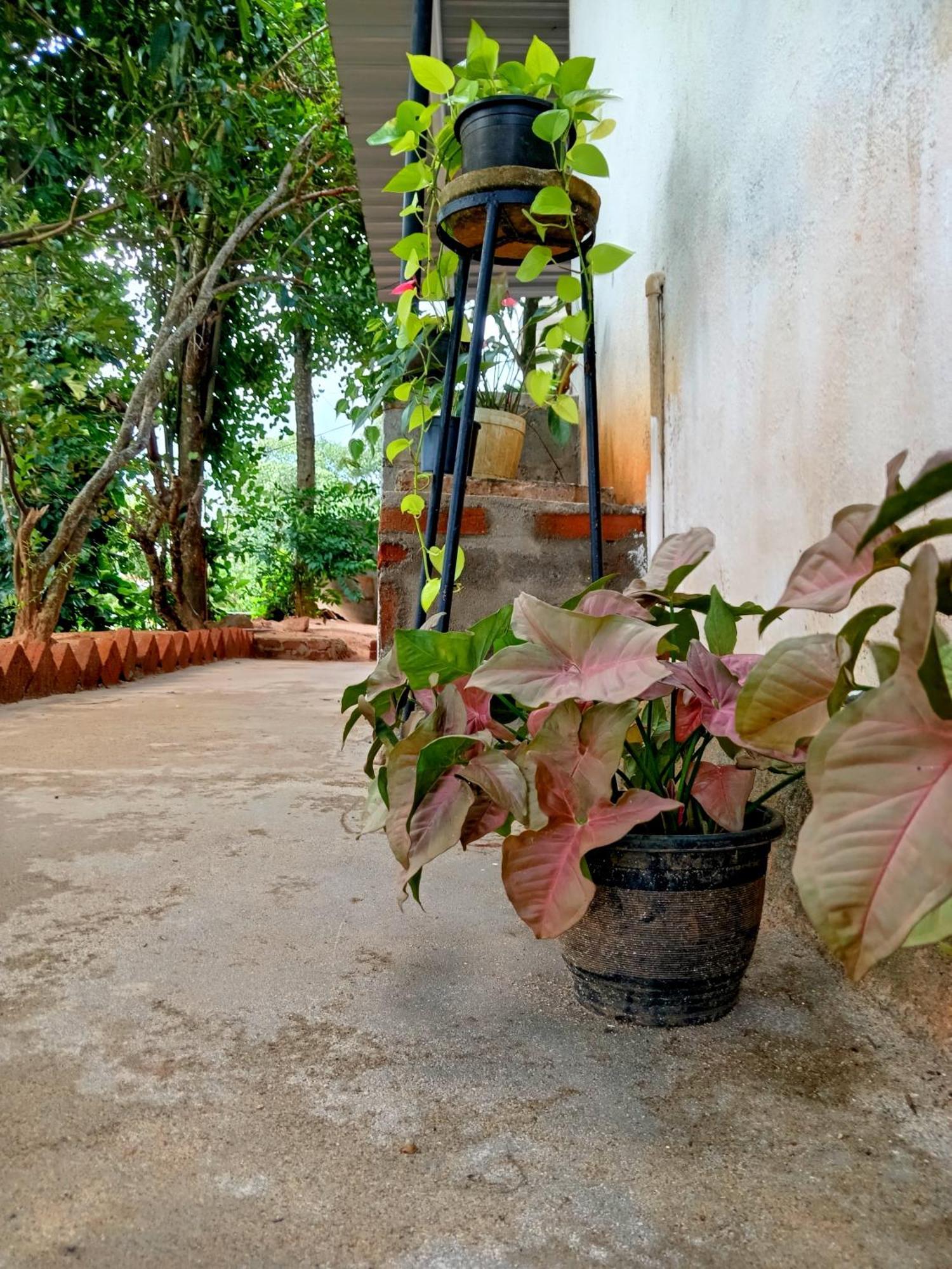 Fly Infinity - Home Stay Kandy Esterno foto