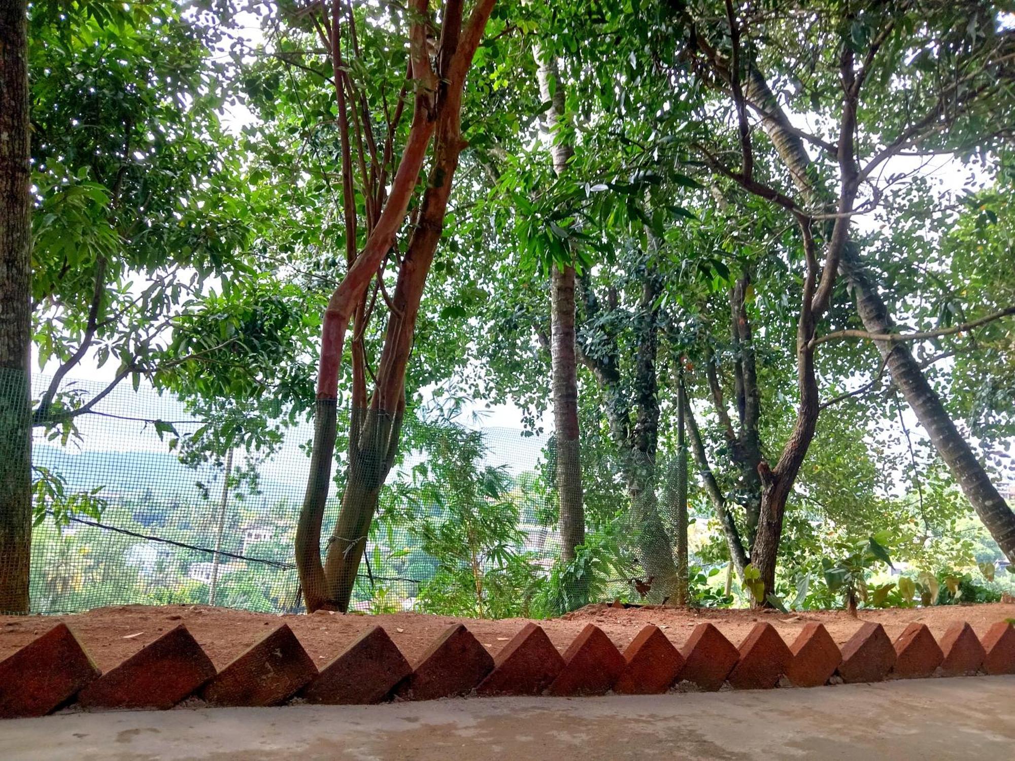 Fly Infinity - Home Stay Kandy Esterno foto